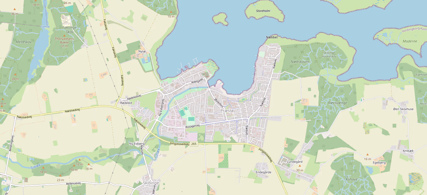 Map of Præstø and Præstø Fjord. A circle marks the area where the houses are.