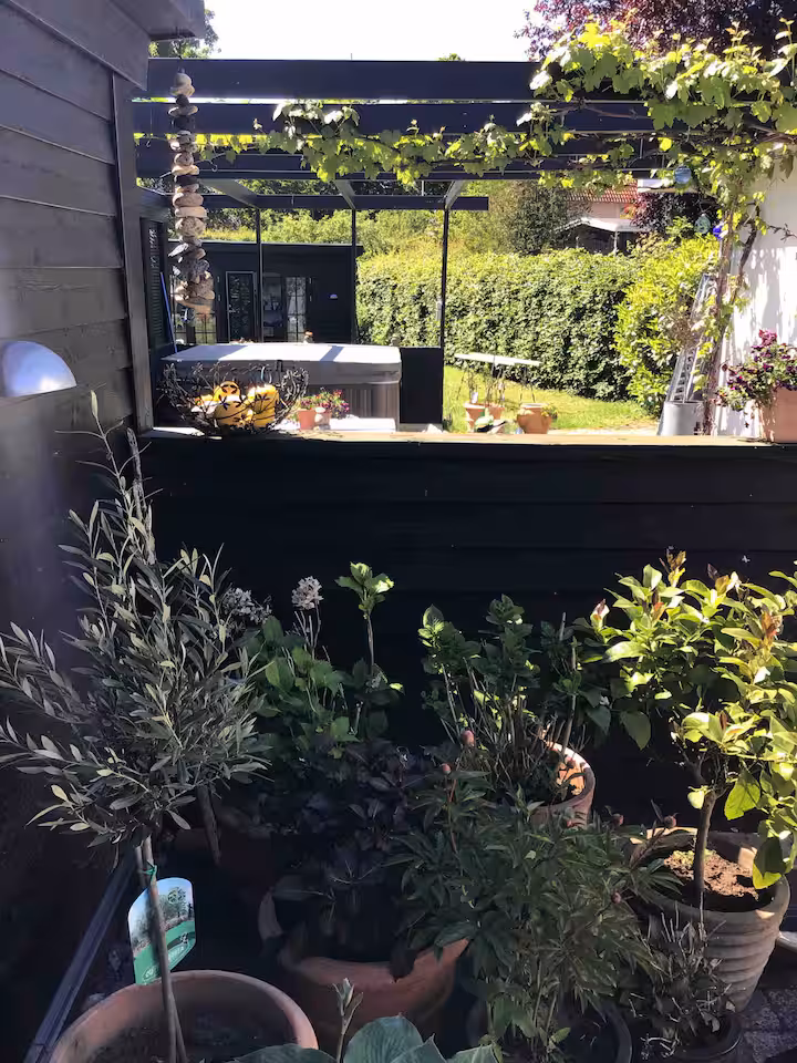 The Villa, Courtyard garden